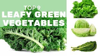 Top 9 Leafy Green Vegetables and Why You Should Eat Them [upl. by Pall]