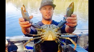 Boatcamping Spearfishing Crab Trapping Adventure [upl. by Ahsienet]