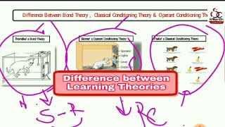 Difference between Thorndike  Pavlov amp Skinners learning theory [upl. by Gavrah727]