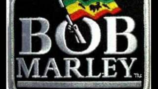 bob marley three little birds lyrics in description [upl. by Bohman]