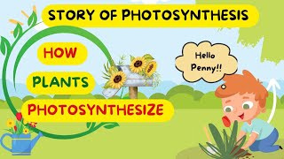 quotPhotosynthesis for Kids The Story of How Plants Make Food and Oxygenquot [upl. by Nosnevets]