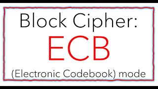 4a Electronic Codebook ECB Solved Example StepbyStep [upl. by Aneris118]