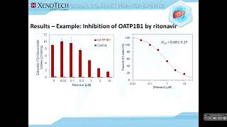 Drug Transporter Webinar Evaluation of Ketoconazole amp Alt Clinical CYP3A45 Inhibitors [upl. by Macintyre]