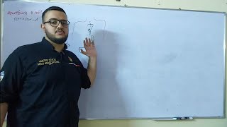 Lec 17 CA  history  Git history [upl. by Cam]