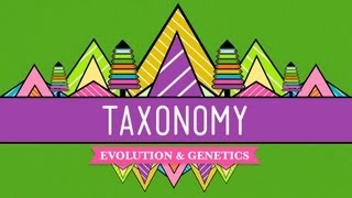 Taxonomy Lifes Filing System  Crash Course Biology 19 [upl. by Hirz]