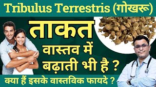 Gokhru ke fayde Tribulus Terrestris benefits Gokhru benefits Tribulus Q Homeopathic Medicine [upl. by Angid390]