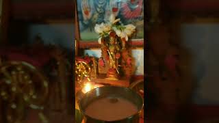 Murugane thunai 🦚🙏🏻🌺 murugansongs muruganukuarogara kandhasashtikavasam krithigai velmaaral [upl. by Avram90]