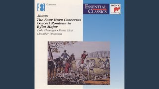 Concerto No 4 for Horn and Orchestra in Eflat Major K495 II Romance Andante cantabile [upl. by Way]