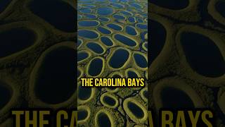 Evidence of an Ancient Catastrophe Carolina Bays mystery history ancient joerogan shorts jre [upl. by Casandra]