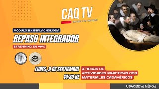 CAQTV 2024 REPASO INTEGRADOR PRÁCTICO  MÓDULO B [upl. by Mattheus935]