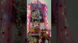 Chaitra masa Navratri is coming soon🥳🥳💐 navratrigodmaa viral subscribesnigdha9178🙏🙏 [upl. by Eidnahs]