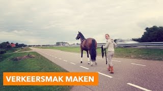 Verkeersmak maken  PaardenpraatTV [upl. by Aitetel376]