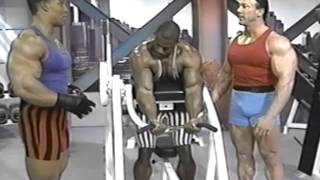 Flex Magazine Bodybuilding Video Series Vol 2 Awesome Arm Workout [upl. by Esmaria]