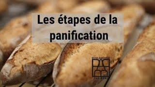 Étapes de la panification [upl. by Ocirled842]