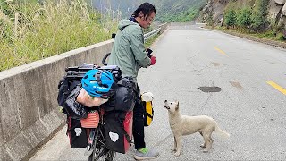 quotIf you follow us to campsiteIll take you inquotA stray dog followed a cycling couple for over 200 km [upl. by Maillw699]