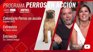 “Perros en acción” Programa Nº 499 [upl. by Aara]