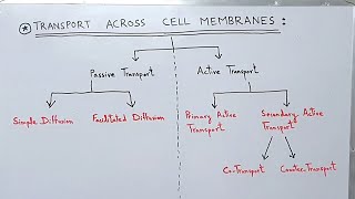 Transport across the Cell Membrane  Plasma Membrane  Active and Passive Transport [upl. by Orravan362]