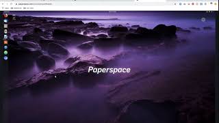 Paperspace Demo Setup and Install for Machine Learning [upl. by Samuela63]