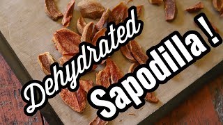 Dehydrating Sapodilla [upl. by Althee]