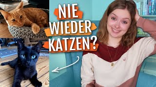 Ich hab 2 junge Katzen aus dem Tierheim adoptiert amp bereue es [upl. by Naras664]