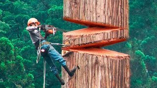 40 Minutes Of Satisfying Videos Of Workers Doing Their Job Perfectly  Best Moments [upl. by Ralyks]