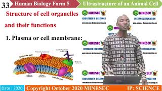 IPSC HUMAN BIOLOGY FORM 5 Lesson 1 The Cell organelles and Ultrastructure of an animal cell [upl. by Felise652]