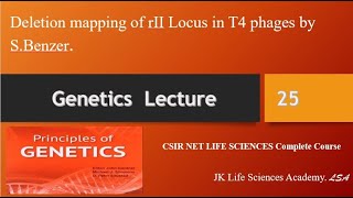 Lecture No 25Deletion mapping of rII Locus in T4 phages by SBenzer inheritancebiologyCSIRJRF [upl. by Oleic]