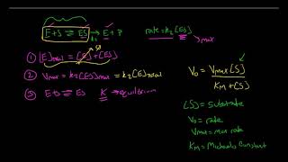 Michelis Menten Kinetics [upl. by Bedell]