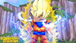 Minecraft DRAGON BALL Z  SUPER SAIYAN CHALLENGE Minecraft Animation [upl. by Ahsiya]