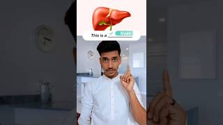 Inside Your Body Meet Your Inner Organs part1 english biology short humanorgan viral shorts [upl. by Nediarb]