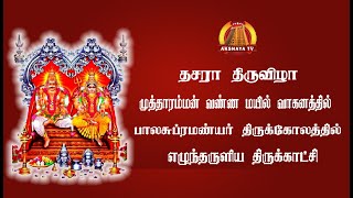 தசாரதிருவிழாமுத்தாரம்மன்வண்ணமயில் வாகனத்தில்பாலசுப்ரமண்யர்திருக்கோலத்தில் எழுந்தருளிய திருக்காட்சி [upl. by Mar305]