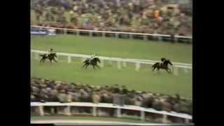 Light Cavalry The 1980 St Leger Stakes Doncaster [upl. by Joh]