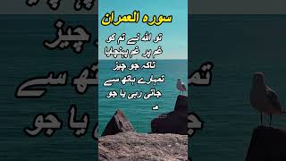 surah al imran urdu translate quran shortclip allah quranurdu thetrueknowledge [upl. by Corbett639]