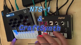 NTS1 amp CraftSynth  A Little Mess Around [upl. by Zenda]