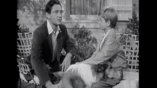 Lassie  Episode 21  quotBlind Soldierquot Originally broadcast 01301955 [upl. by Penland62]