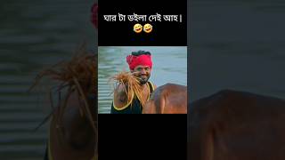 ক্রাশ কে গোসল করাতে চায় ফারহানভাই  Musfiq R Farhan  Tania Brishty  Best funny [upl. by Bev]