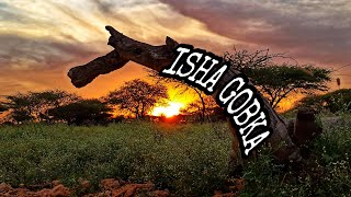 ISHA GOBKA  HARGEISA 2022 [upl. by Lilli324]