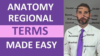 Regional Terms Anatomy  Body Parts Name  Nursing Medical Terminology Made Easy [upl. by Yssim983]