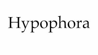 How to Pronounce Hypophora [upl. by Yrrah]