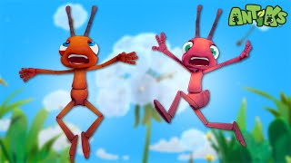 All Bottled Up  🐛 Antiks amp Insectibles 🐜  Funny Cartoons for Kids  Moonbug [upl. by Ivonne936]