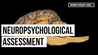 Neuropsychological Assessment Series 1 [upl. by Alyad693]