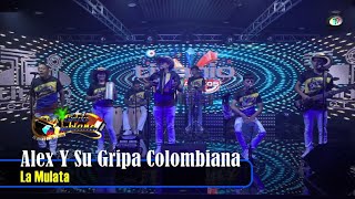 Alex Y Su Gripa Colombiana  La Mulata Video Oficial [upl. by Esaj]