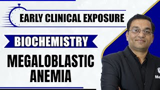 Megaloblastic Anemia  Early Clinical Exposure  Biochemistry  MBBS  Dr Rajesh [upl. by Neerak]