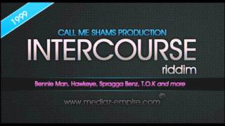 Intercourse Riddim Mix Dr Bean Soundz1999 Call me Shams Productions [upl. by Ettevy722]