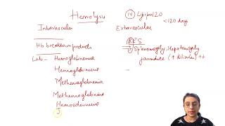 Intravascular vs Extravascular hemolysis hemolysis [upl. by Booker]