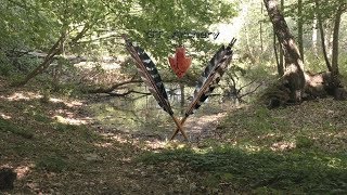 Archery adventures June 2018  Bearpaw Mohawk [upl. by Nnairret]