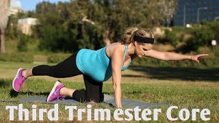 Third Trimester Prenatal Core WorkoutBut Good for ALL Trimesters of Pregnancy [upl. by Prunella855]