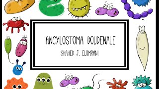 Ancylostoma Duodenale [upl. by Laerdna]