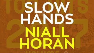 Slow Hands  Niall Horan cover by Molotov Cocktail Piano [upl. by Whittaker675]