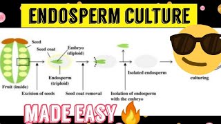 Endosperm Culture Made easy😎🔥 [upl. by Roxane]